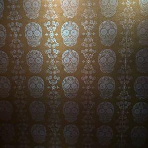 Meet your Posher, Gracie